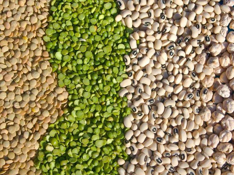 Pulses and Lentils Wholesale Europe