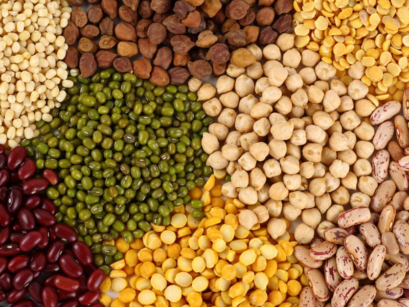 Pulses and Lentils Wholesale UK